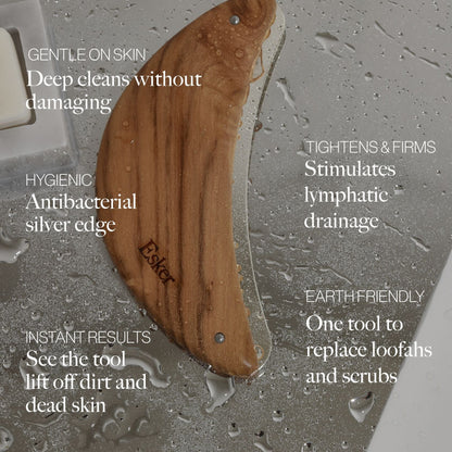 Body Plane